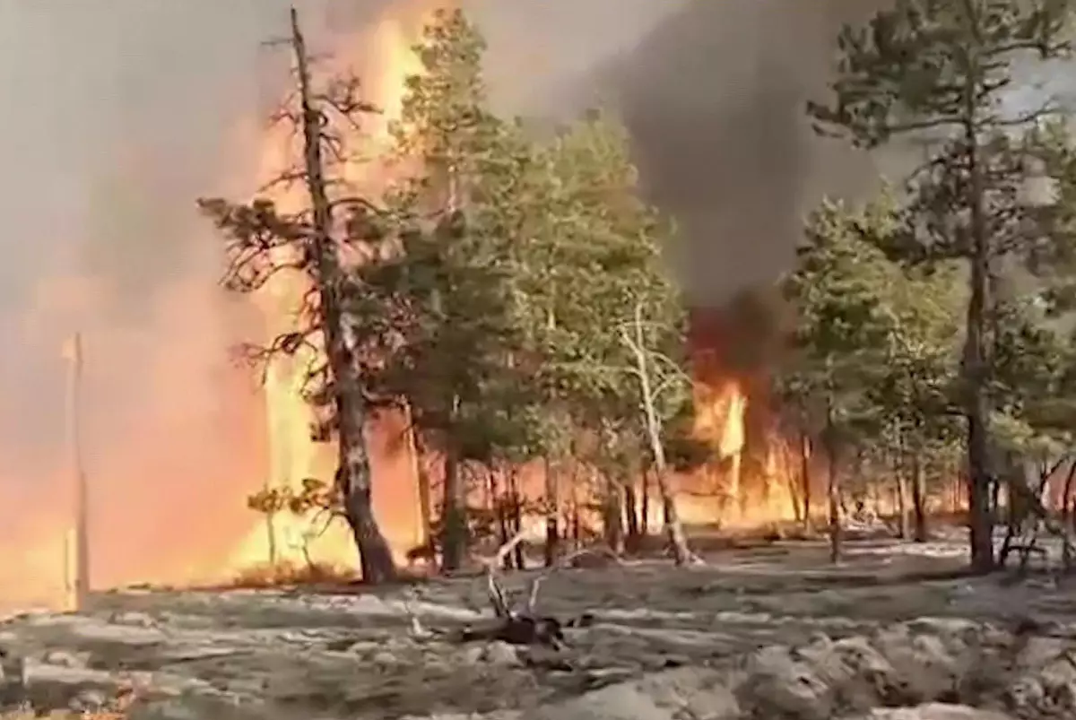 В Якутии площадь лесных пожаров выросла почти до 160 тыс га