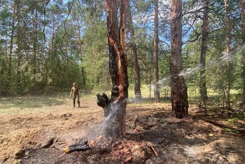Лесные пожары участились в резервате "Семей Орманы" из-за сухих гроз