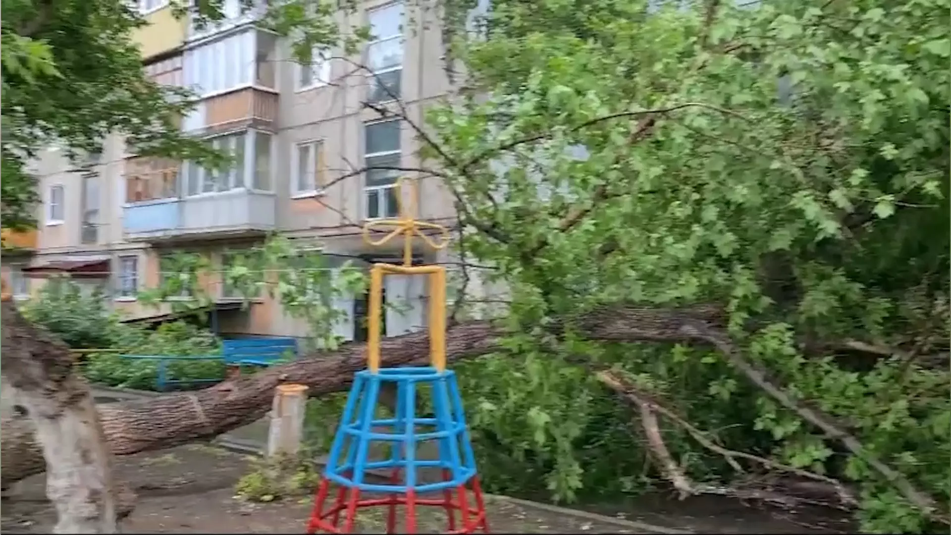 Сильнейший ураган в Усть-Каменогорске  повалил деревья и оставил часть жителей без электричества
