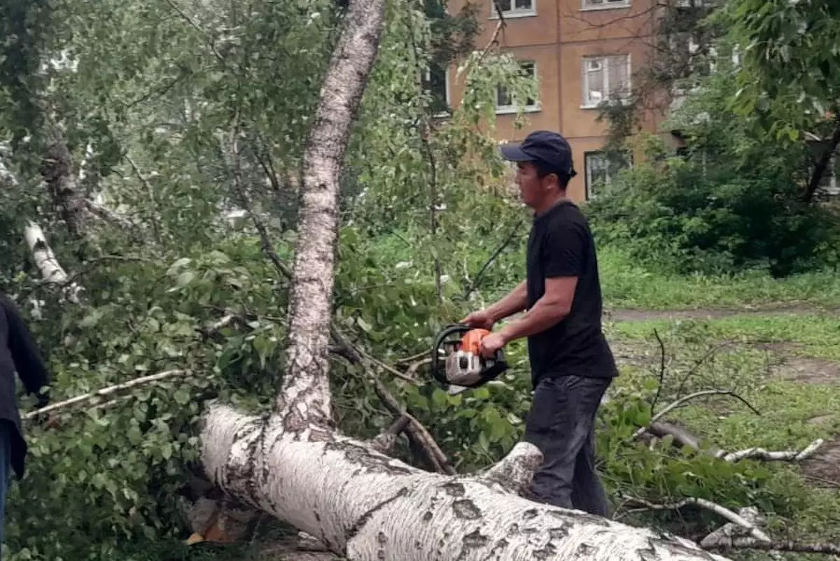 Ураган в Усть-Каменогорске: повалены деревья, отключено электричество