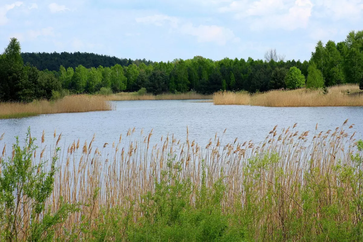 На водоёмах в Актобе установят 33 камеры видеонаблюдения