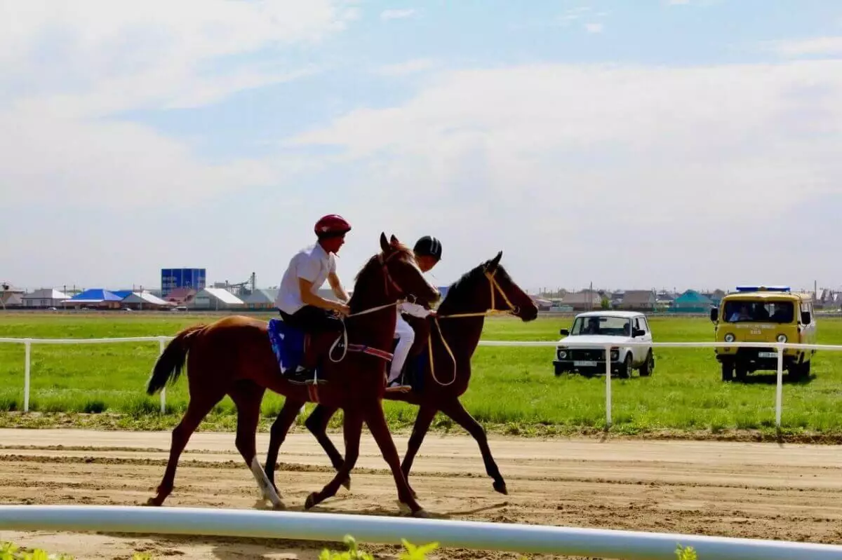 Участники республиканских скачек костанайской породы лошадей поборются за 19 млн тенге