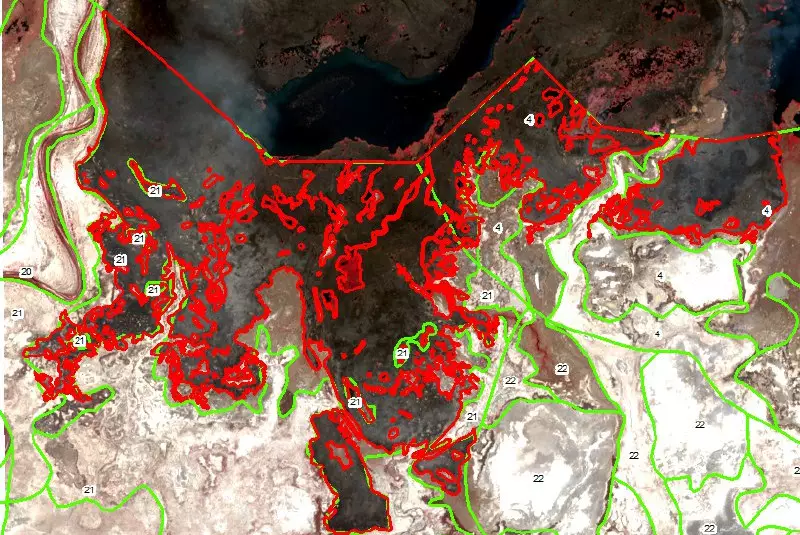 Пожар в резервате Иле-Балхаш виден из космоса