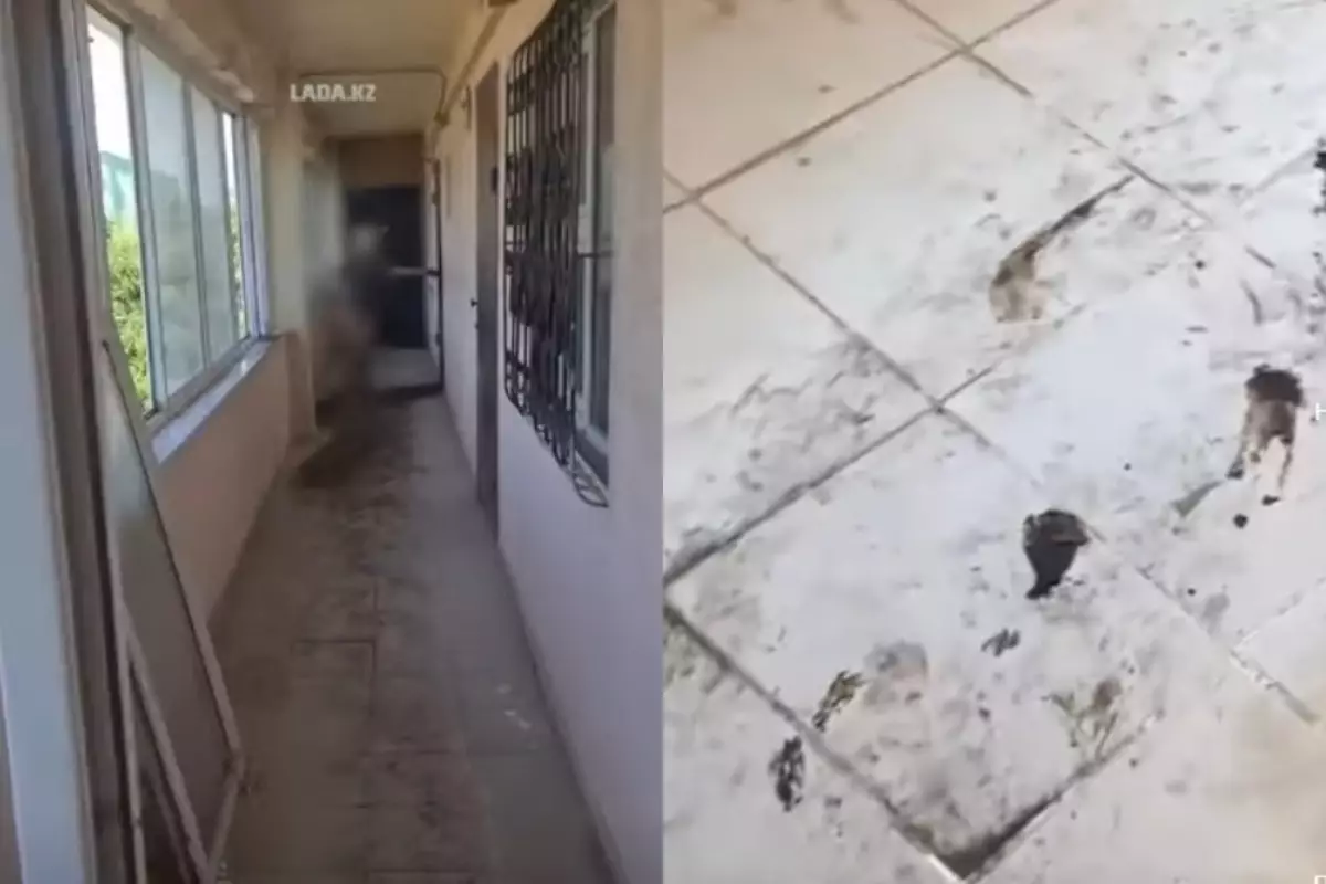 Жительница Актау ходит голая по галерее дома и терроризирует соседей