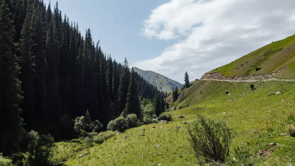 Изучается вопрос строительства горного курорта в Алматинской области
