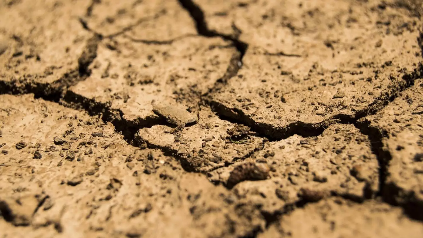 Каким регионам грозит засуха, рассказали синоптики