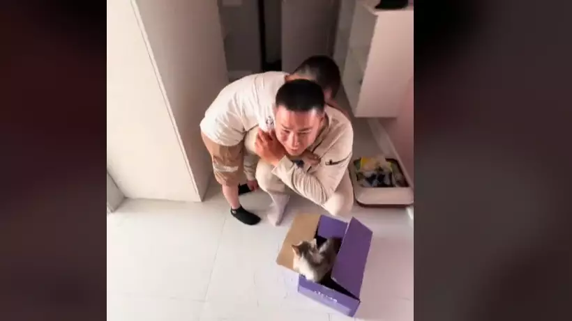 Родители подарили малышу кошку и столкнулись с неожиданной реакцией
