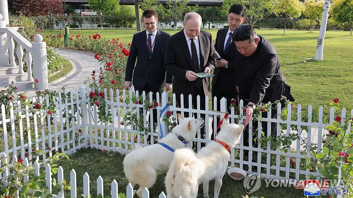 Владимиру Путину подарили двух собак - потомков северокорейских волков, о которых ничего не известно в мире
