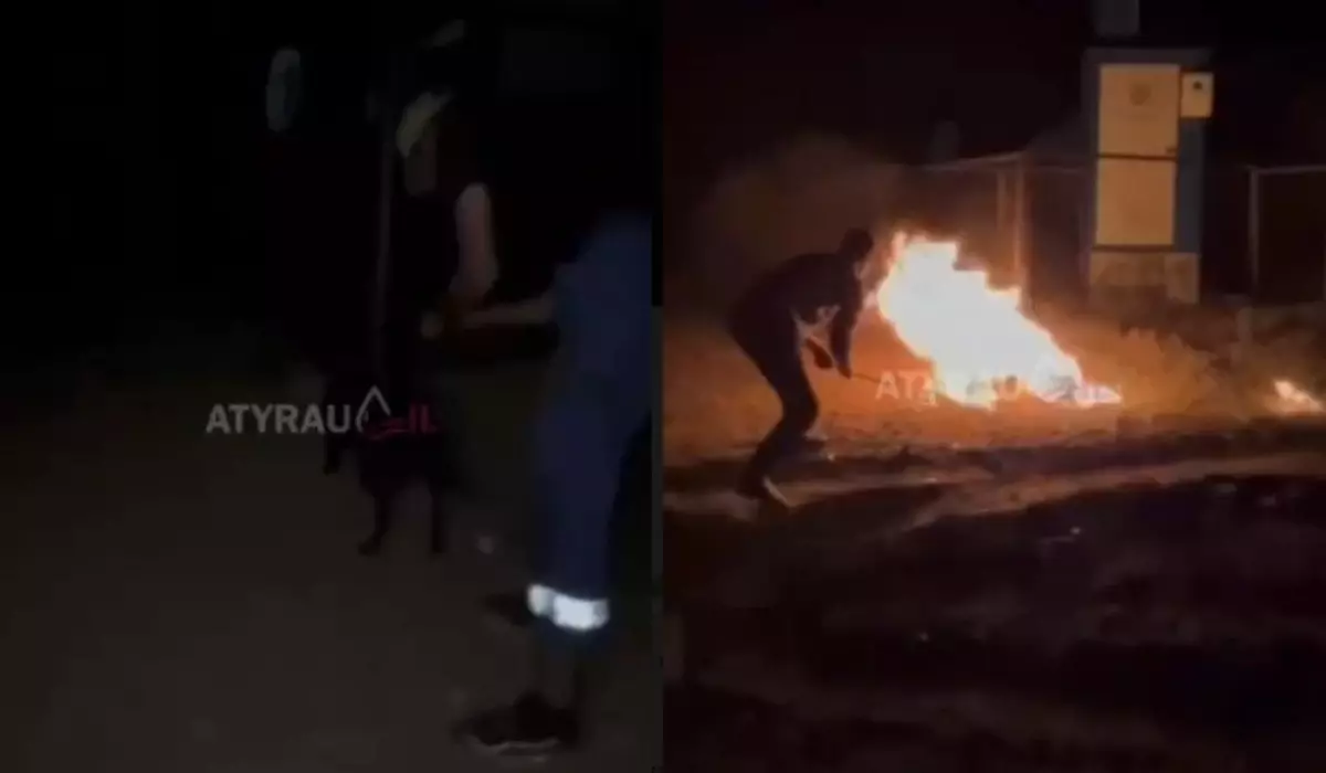 Собаку привязали и заживо сожгли в атырауском селе (ВИДЕО)
