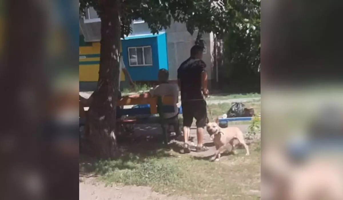 «Рви, хватай, дери»: трое мужчин натравили питбуля на женщину с ребенком и собакой в Рудном (ВИДЕО)