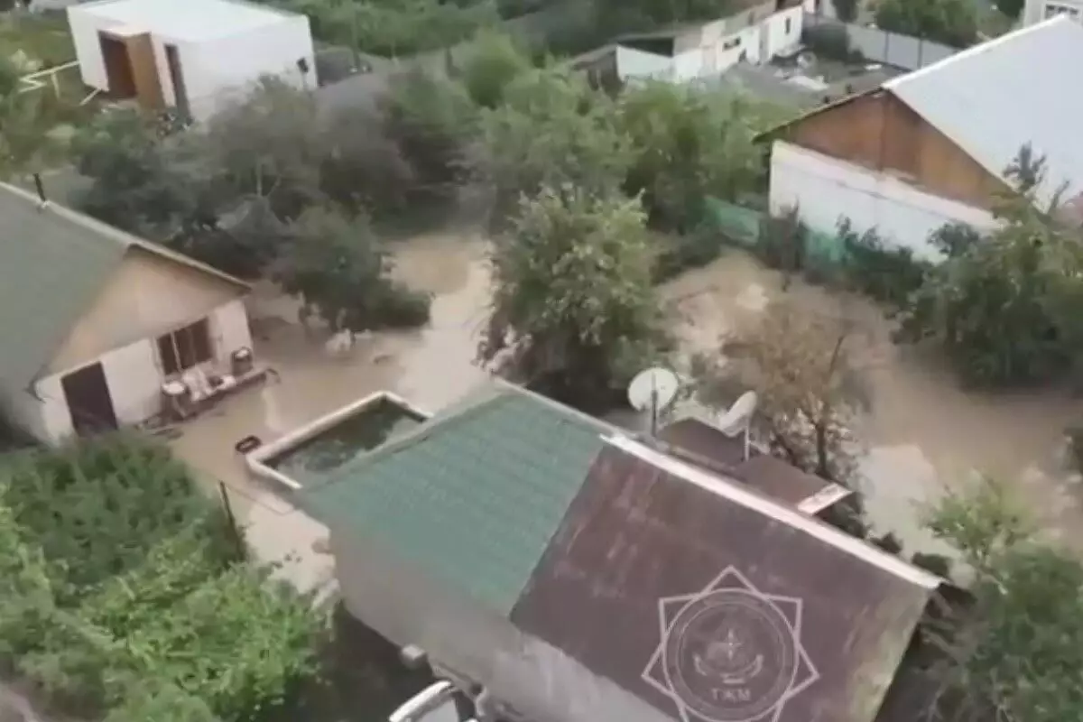 Из-за трещины в стыке канала подтопило несколько дворов в селе Алматинской области (ВИДЕО)