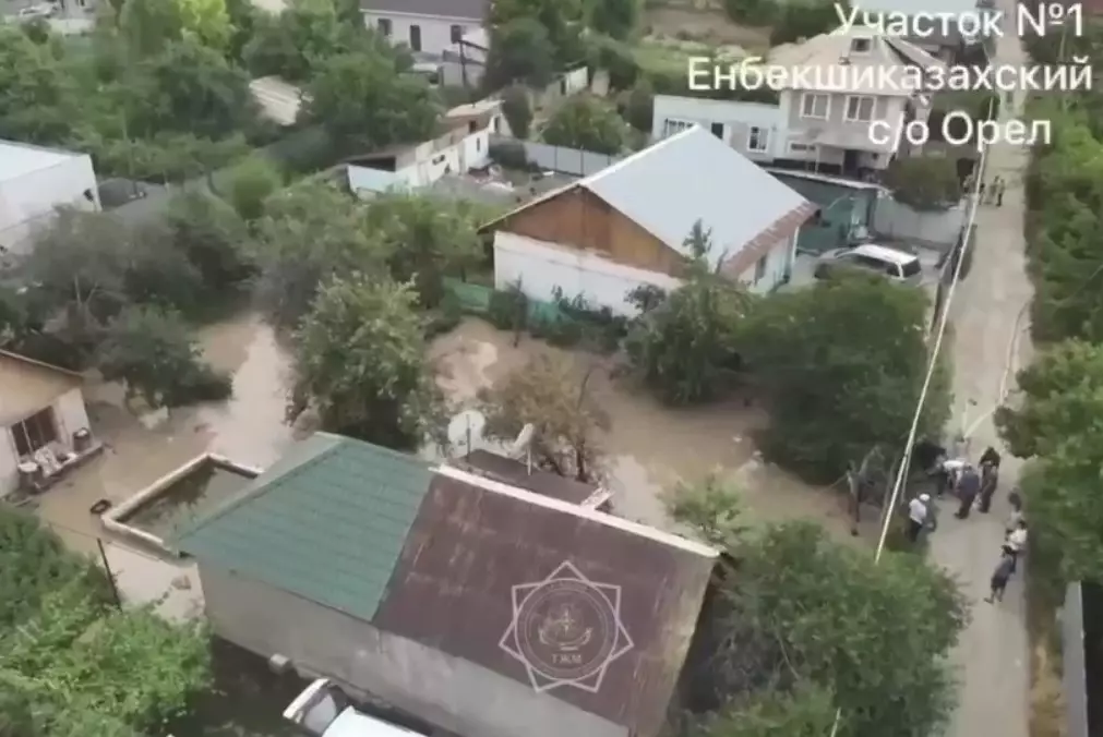 Поливной канал треснул в Алматинской области: затоплены дачи
