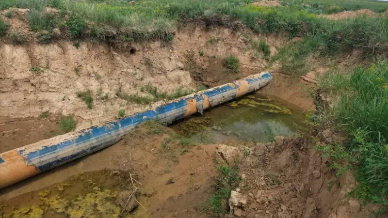 Больше 900 км водопроводов построят в Северо-Казахстанской области