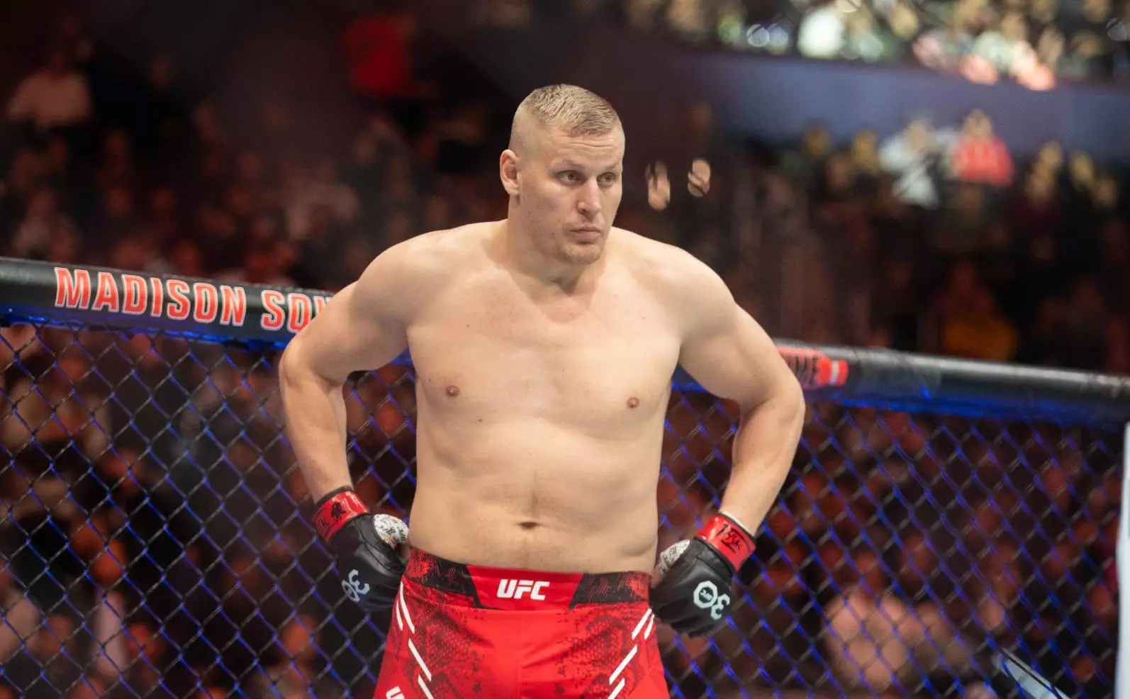 Волков сенсационно победил Павловича на турнире UFC