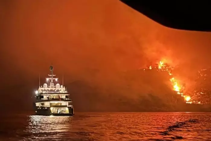 Туристов из Казахстана подозревают в поджоге леса на греческом острове — СМИ