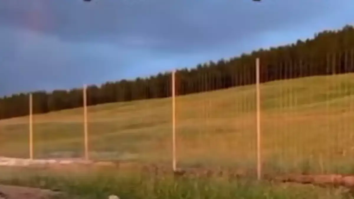 В Акмолинской области сельчан оградили от леса двухметровым забором, и они не знают почему