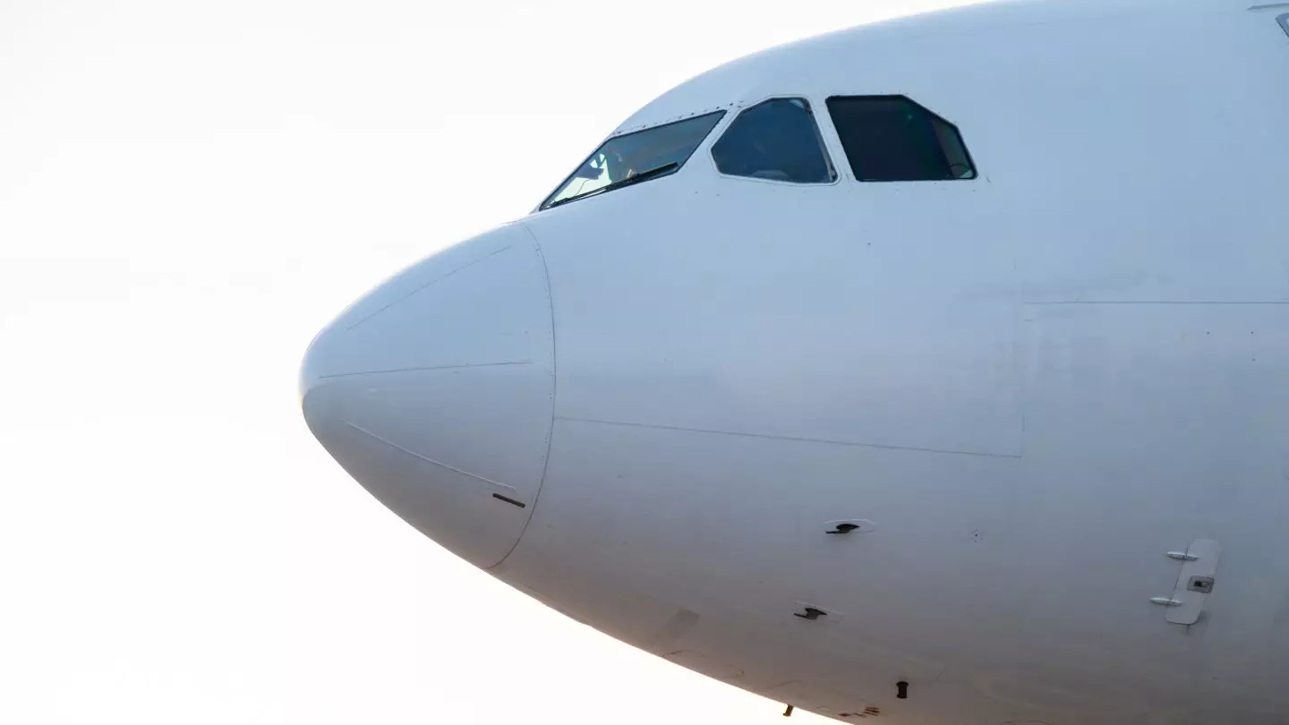 Птицы повредили самолёт Air Astana