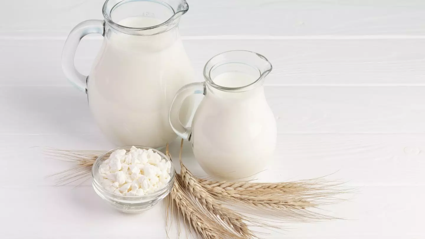 Что мешает казахстанским фермерам отправлять кобылье молоко на экспорт
