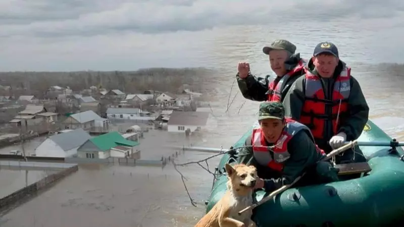 Более 8 тысяч домов не подлежат восстановлению после паводков в Казахстане