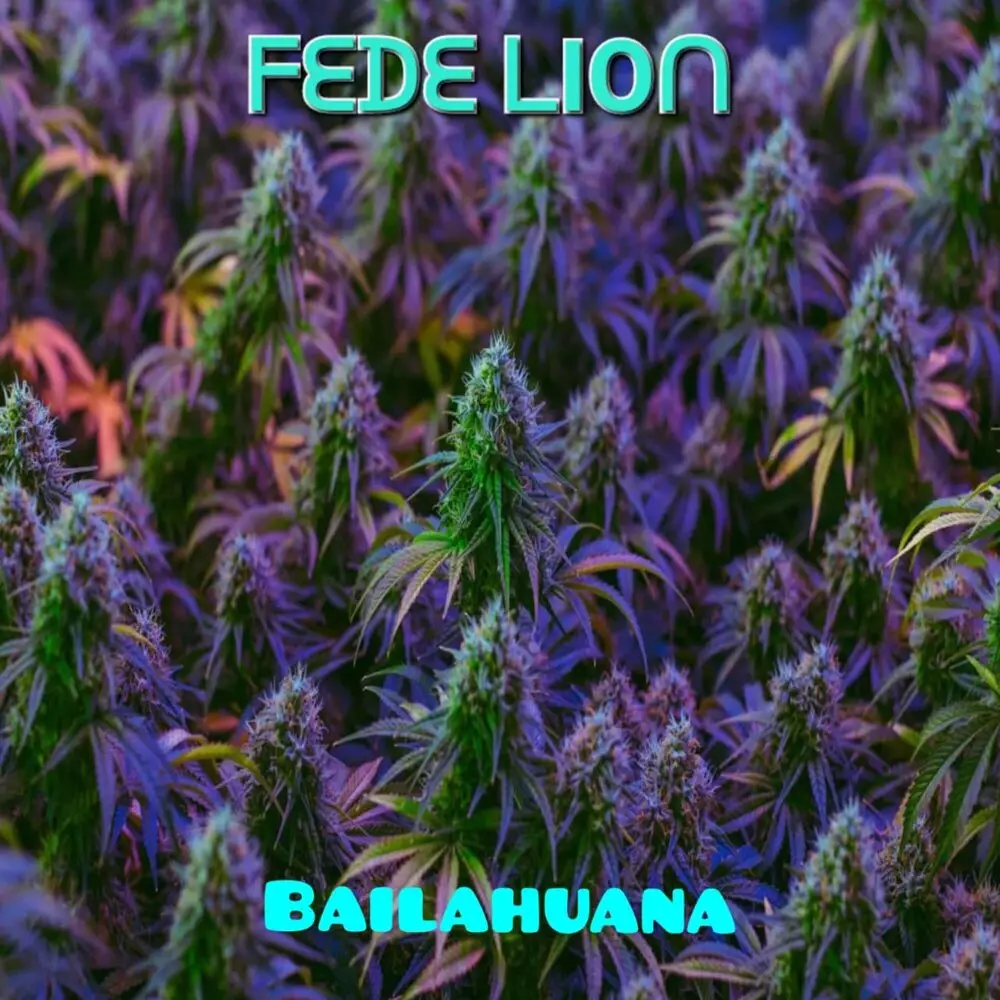 Новый альбом fede lion - Bailahuana