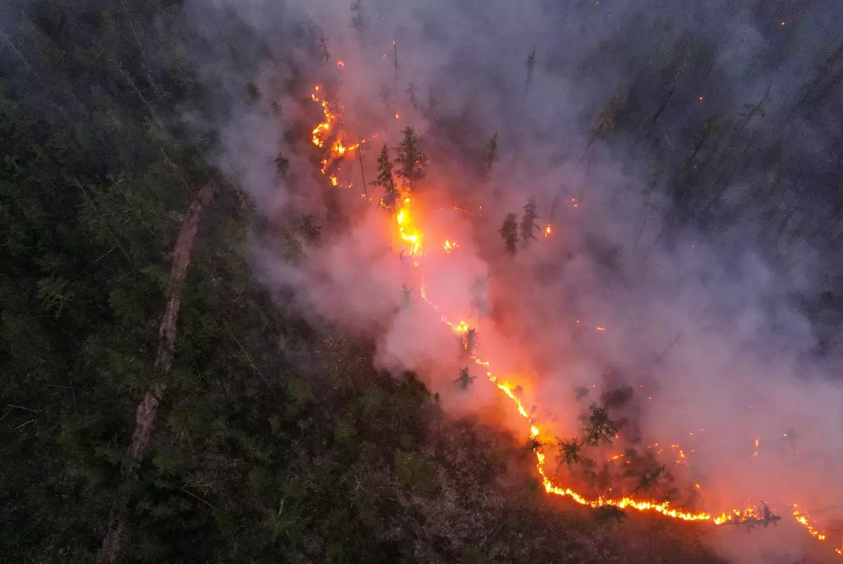 Пожары в Якутии: около 600 тыс гектаров леса охватил огонь