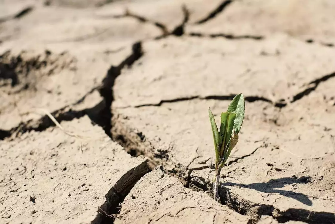 В десяти регионах Казахстана ожидается засуха в июле