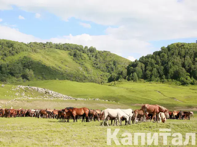 Более 73 тысяч га сельхозземель вернули в госсобственность в Жамбылской области 