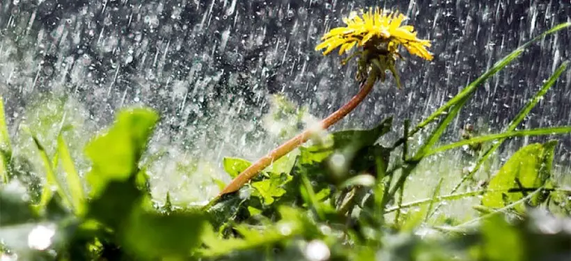 Дожди с грозами, град, сильная жара: какой будет погода по Казахстану 27-29 июня