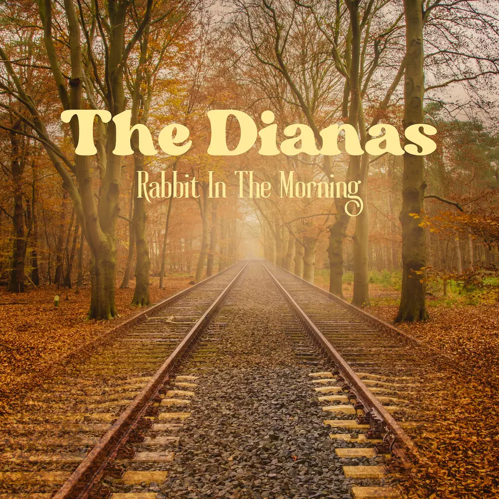 Новый альбом The Dianas - Rabbit in the Morning