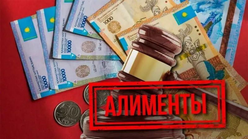 Бизнесмен обратился в Конституционный суд Казахстана из-за алиментов
