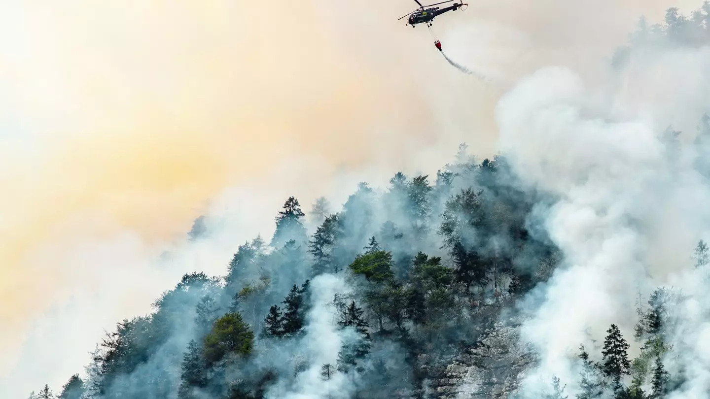 В Турции лесные пожары охватили несколько регионов
