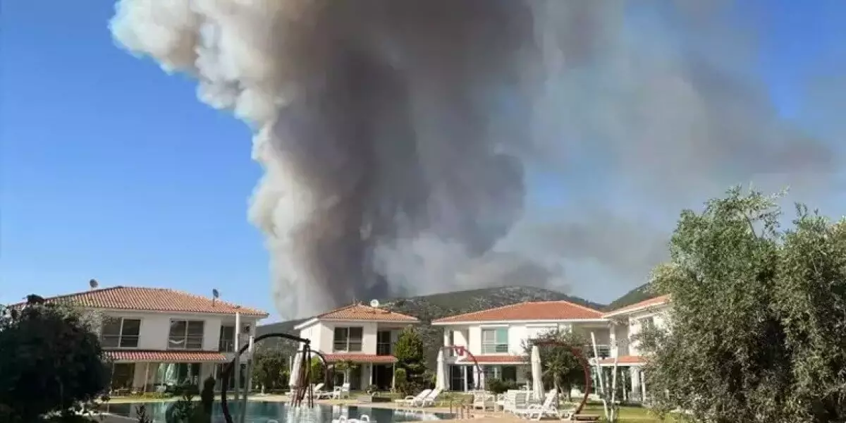Жителей нескольких деревень эвакуировали из-за угрозы лесного пожара