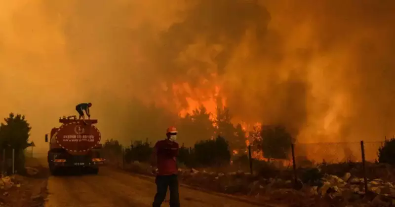 В Греции возник еще один лесной пожар