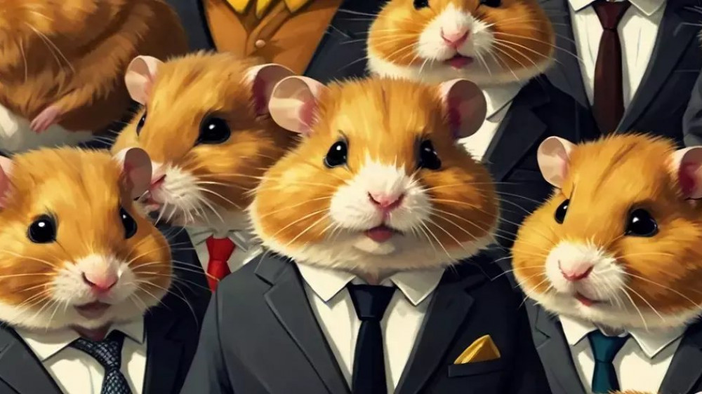 Hamster kombat 29 мая