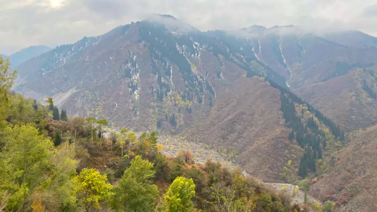 В Алматы семь подростков пошли покорять горы, но не смогли самостоятельно спуститься