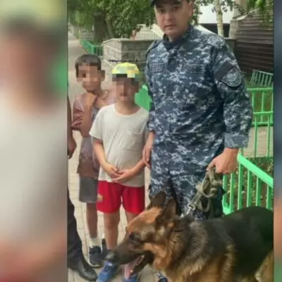 Пропавшего ребенка нашла полицейская собака Феликс в Астане