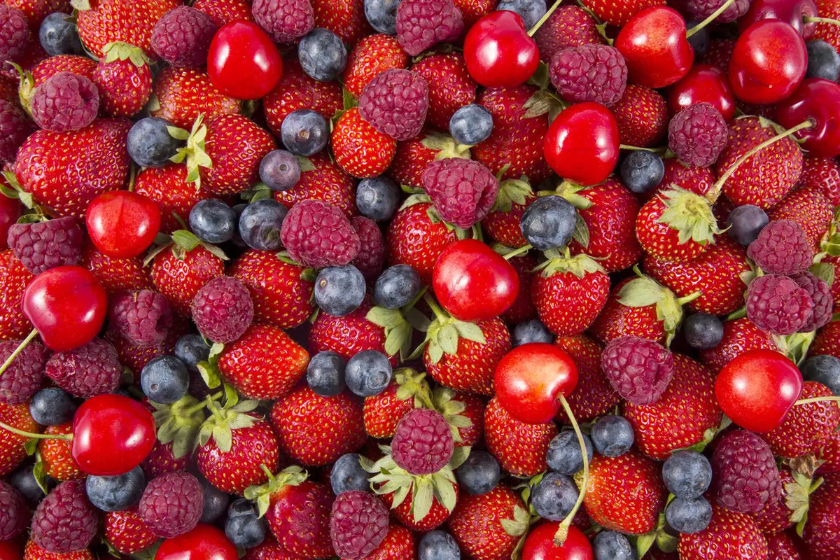 Врач Мясников назвал ягоду, которая снижает риск развития рака