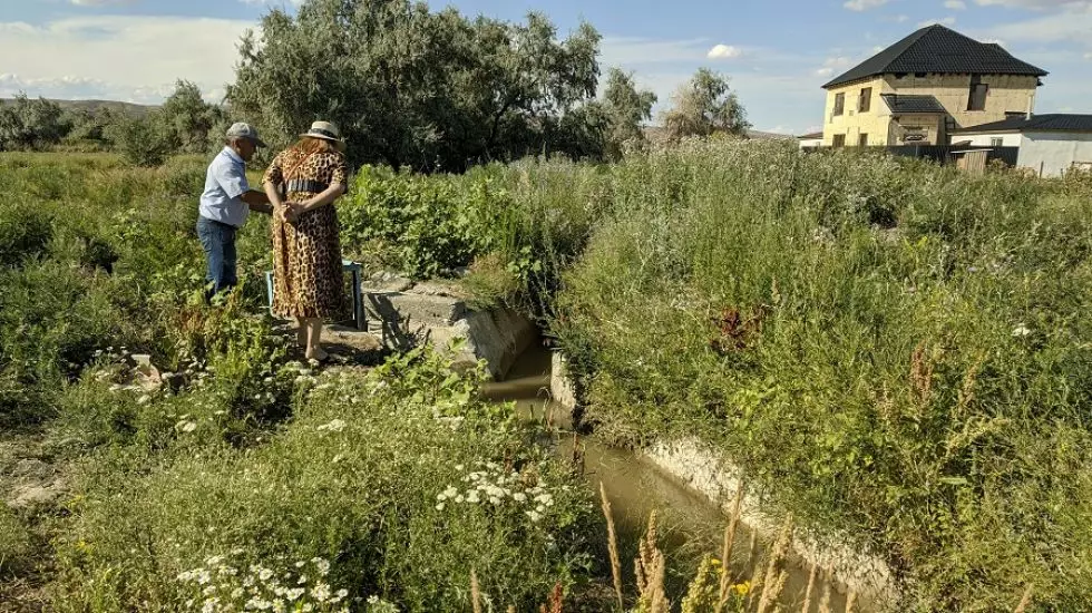 Талдыкорганцев призвали поливать огород строго по ночам