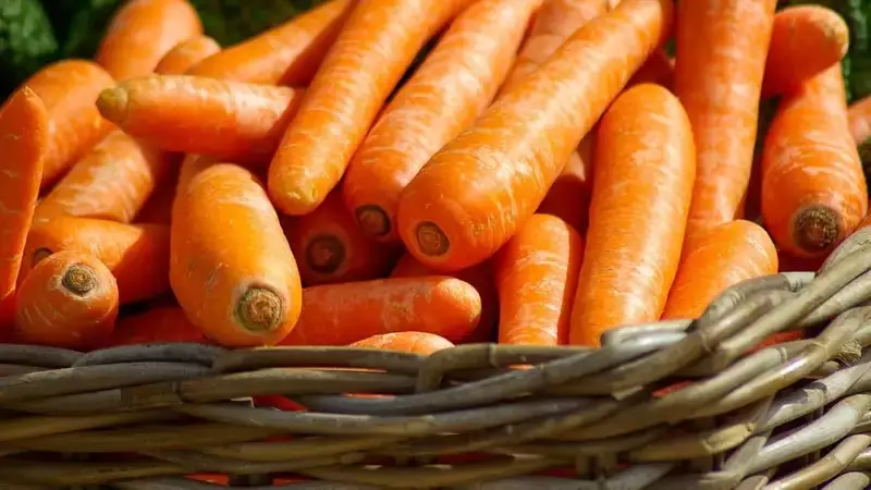 Медики рассказали, сколько нужно есть моркови, чтобы предотвратить рак