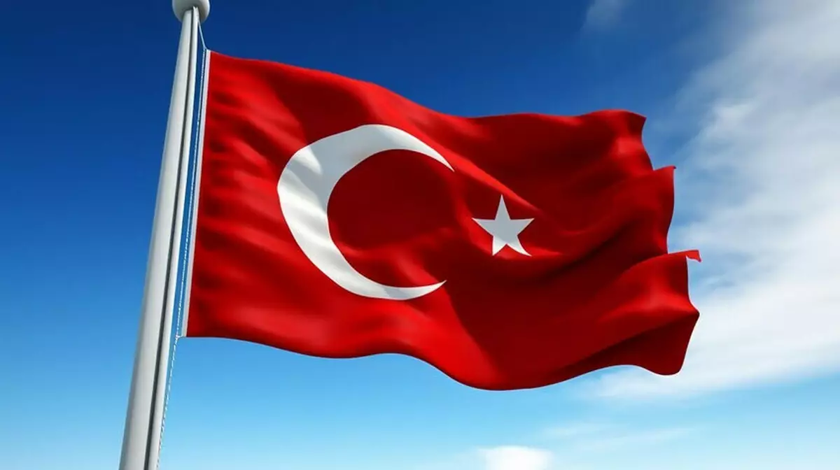 После погромов из-за надругательства над ребенком в Турции задержали 67 человек
