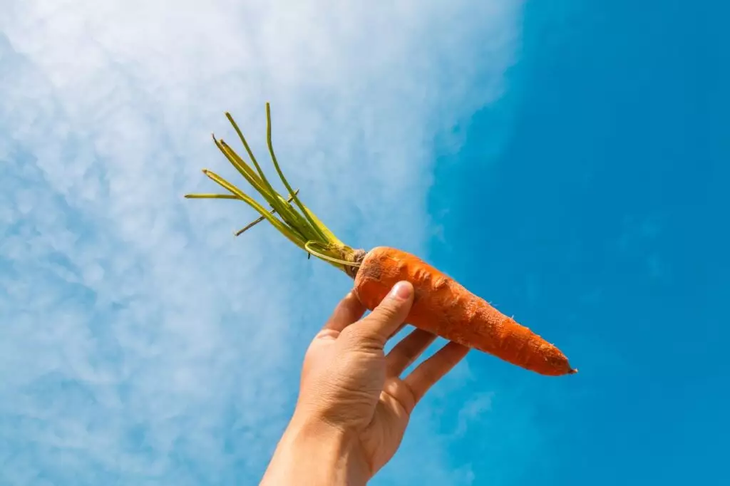 Цены на социально значимые продукты снизились в Казахстане: в рекордсменах морковь и гречка