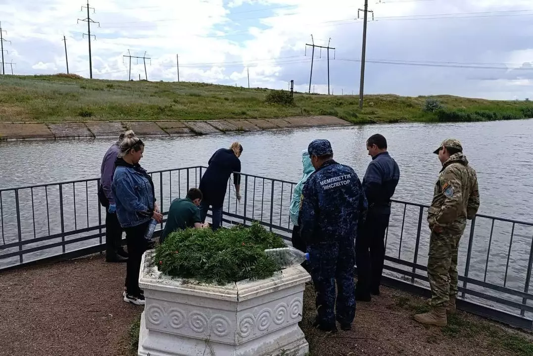 Информацию о гибели рыбы в канале имени Сатпаева проверили в Минсельхозе