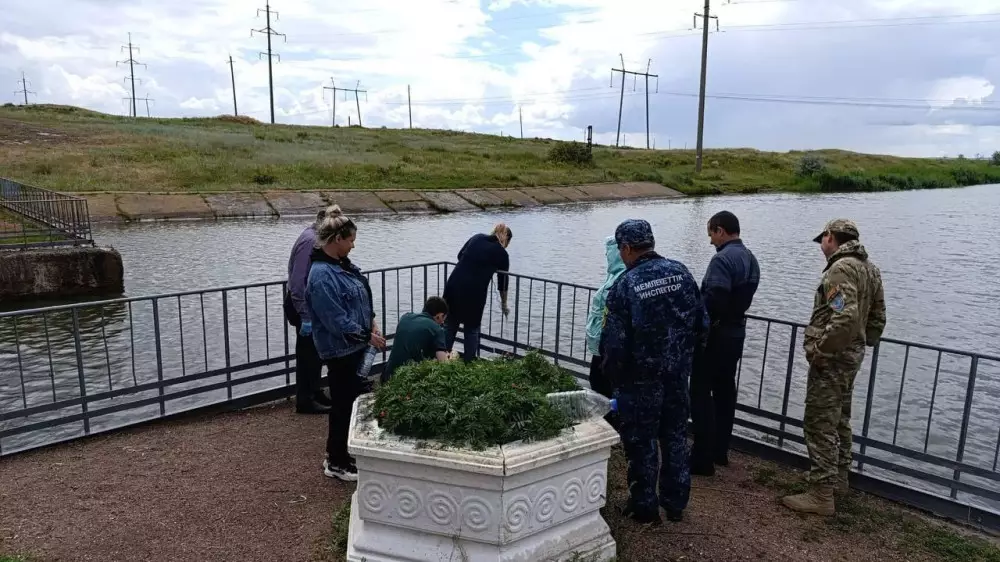 Гибель рыбы на канале Сатпаева: инспекторы организовали проверку