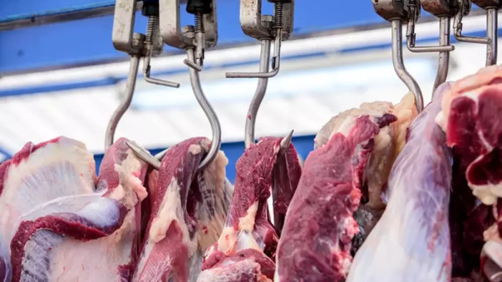 Казахстанцев напугали мясом зараженного скота из Кыргызстана