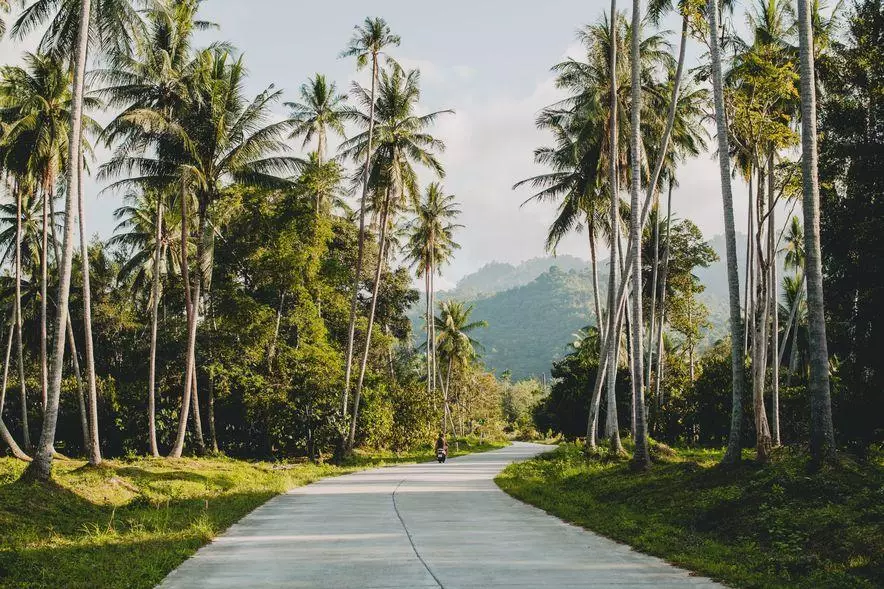 Туристам на Бали теперь грозит депортация за нарушение ПДД