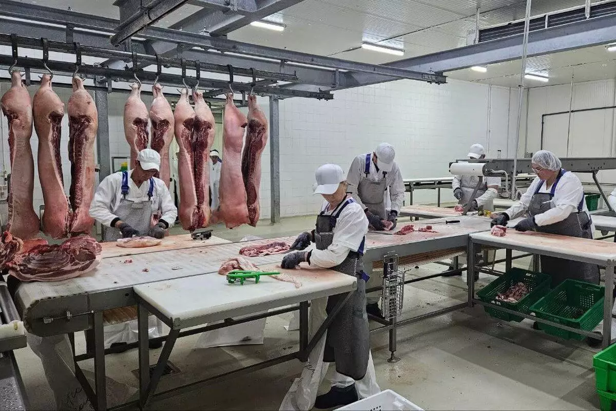 Делегацию Китайской мясной ассоциации в СКО заинтересовали проекты в сфере АПК