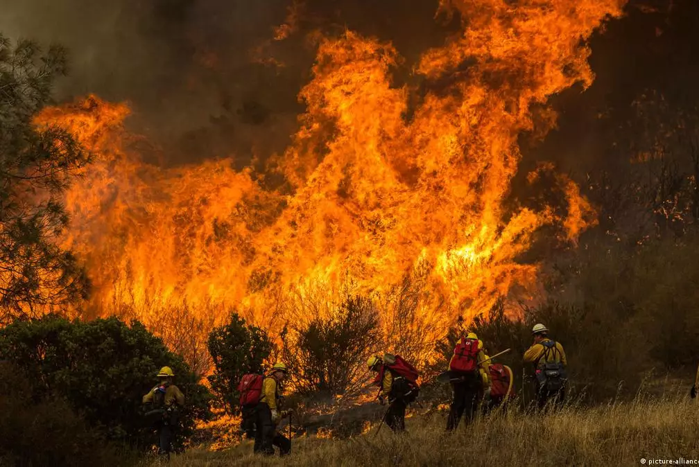 Более 13 тысяч жителей эвакуировались из-за лесных пожаров в Калифорнии