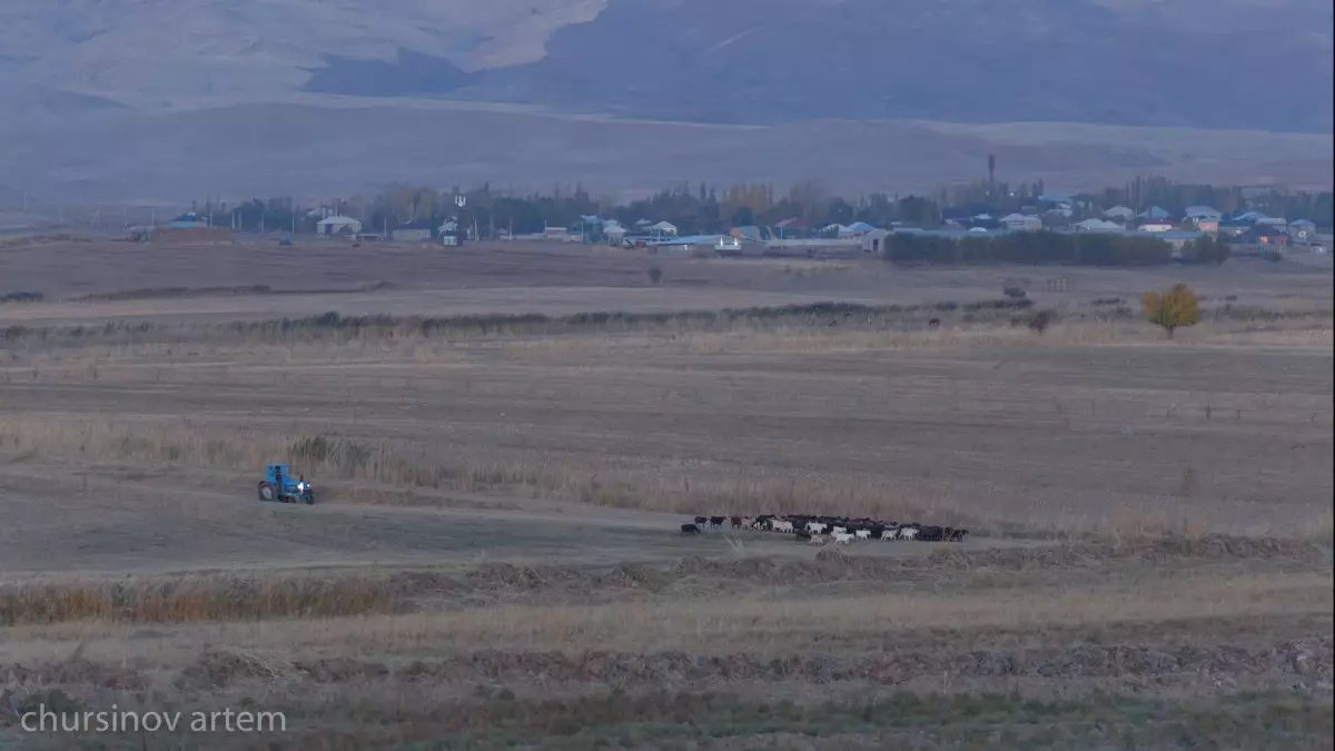Более 22 тысяч га сельхозземель в Актюбинской области возвращены государству