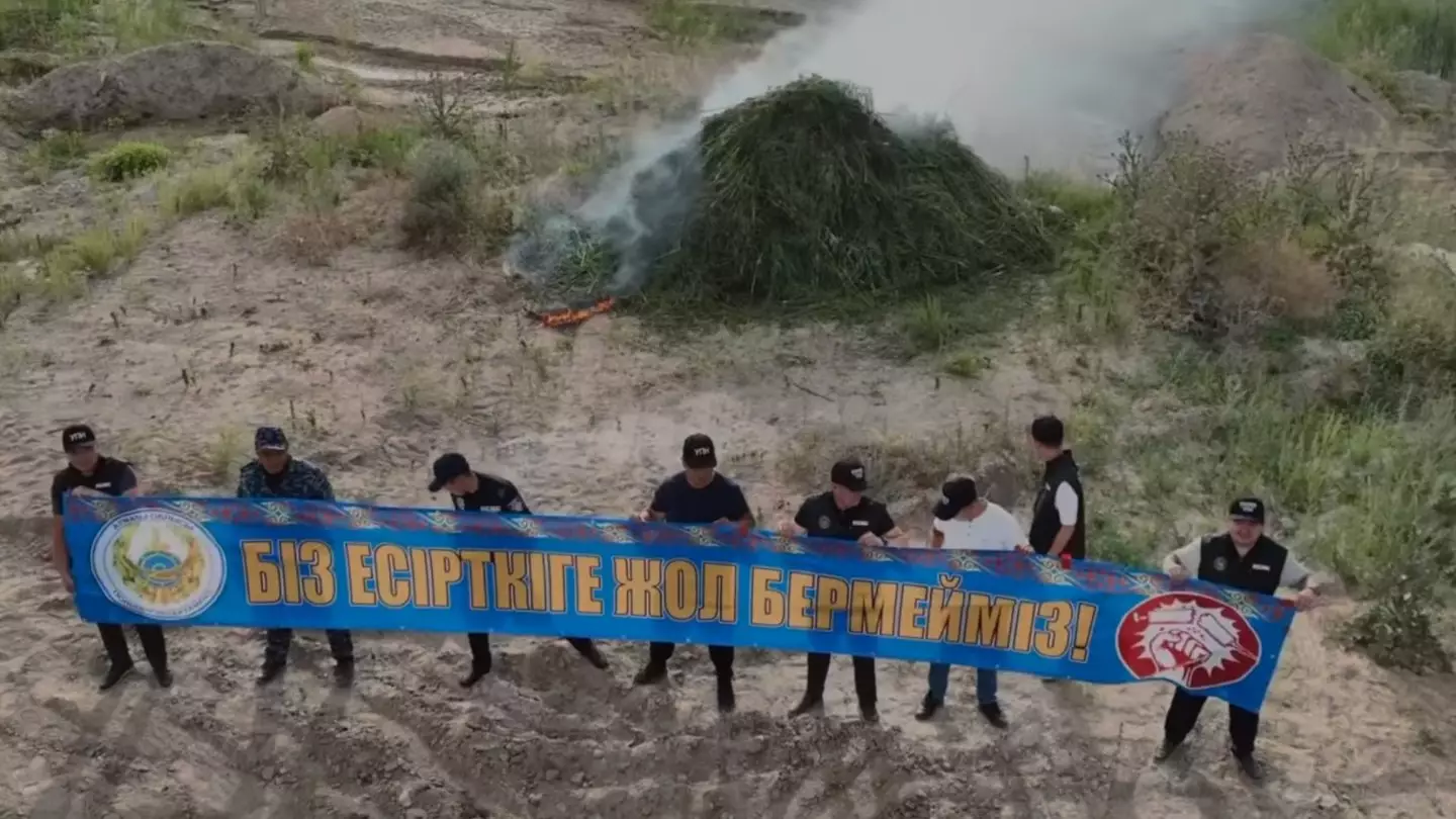 Почти 13 тонн каннабиса сожгли в Алматинской области