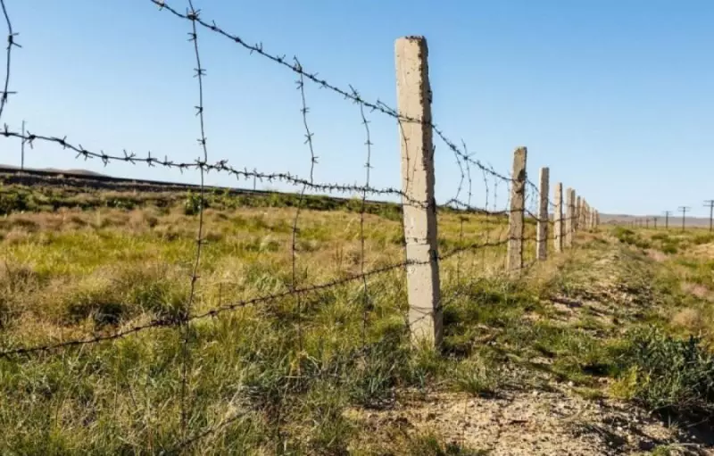 Наркотики, оружие, топливо: что пытались провезти через границу Казахстана в июне